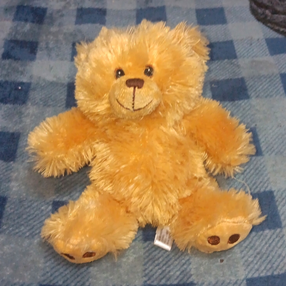 Small teddy bear 🧸